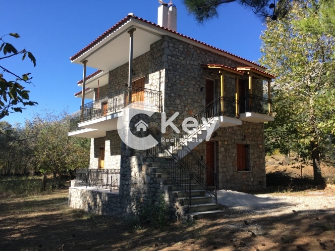 Κτήριο στην Ζεμενό, Αράχωβα — Φωτογραφία 3 από 16