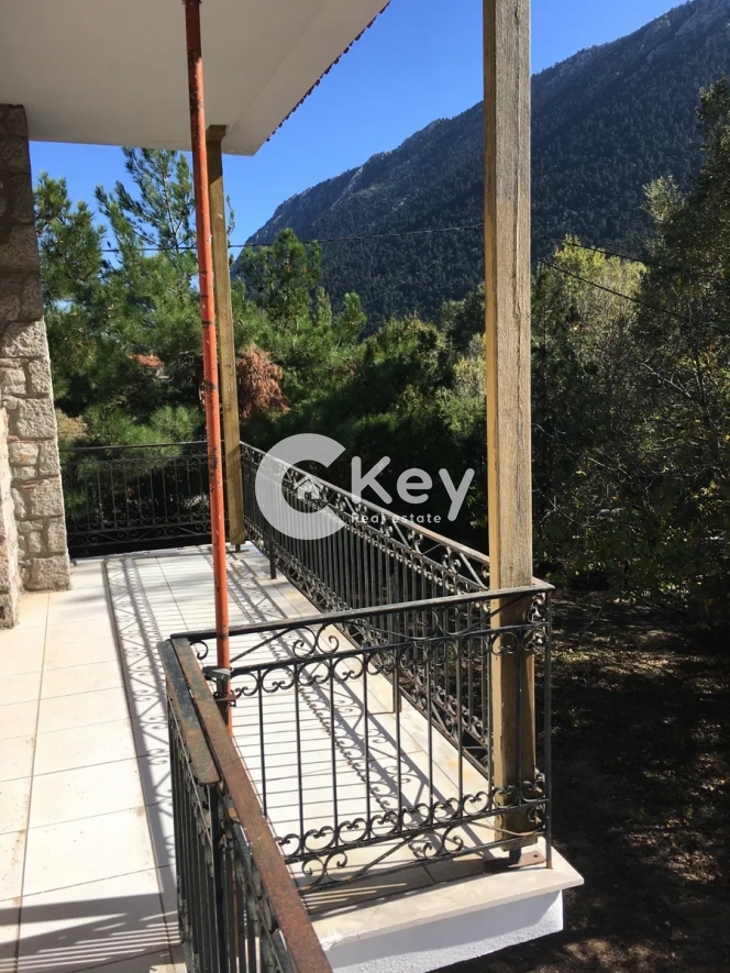 Κτήριο στην Ζεμενό, Αράχωβα — Φωτογραφία 10 από 16