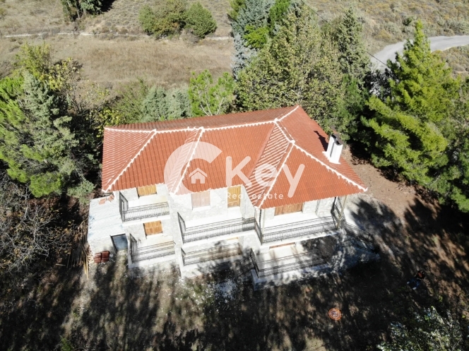 Κτήριο στην Ζεμενό, Αράχωβα — Φωτογραφία 5 από 16
