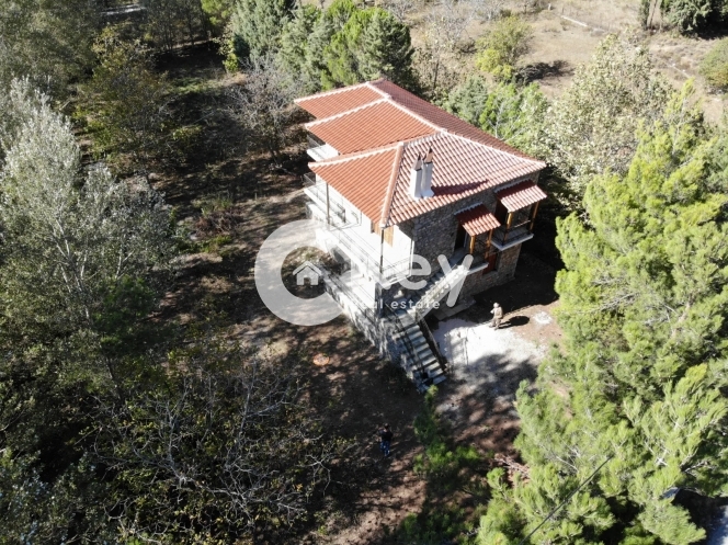 Κτήριο στην Ζεμενό, Αράχωβα — Φωτογραφία 7 από 16